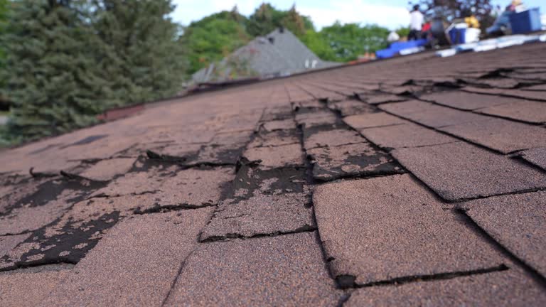 Best Roof Leak Repair  in Holyoke, CO