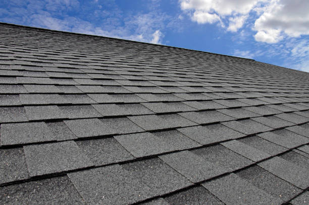 Professional Roofing Service in Holyoke, CO