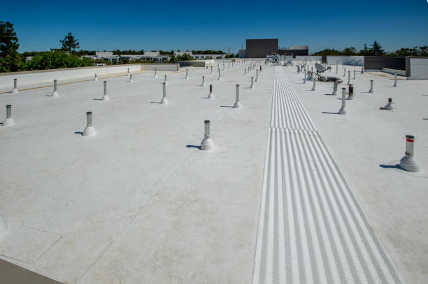 Best Roof Insulation Installation  in Holyoke, CO